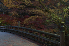 夕暮れ　こおろぎ橋Ⅰ