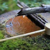 水面に沈む秋