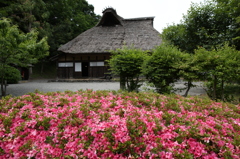 おさごえ民家園Ⅲ