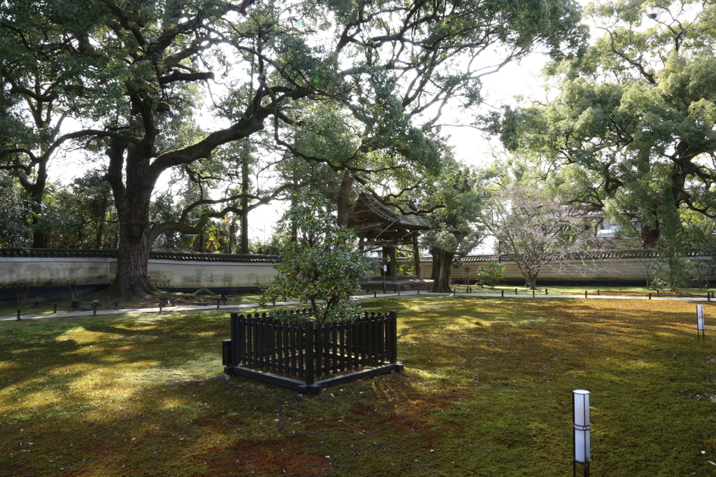青蓮院 VerⅢ