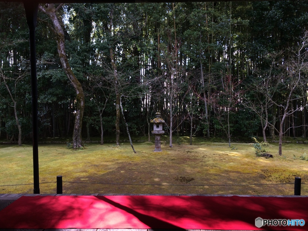 京都 紫野 高桐院ver Ⅲ