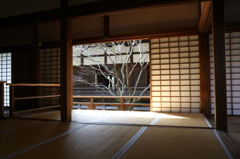 青蓮院 VerⅡ