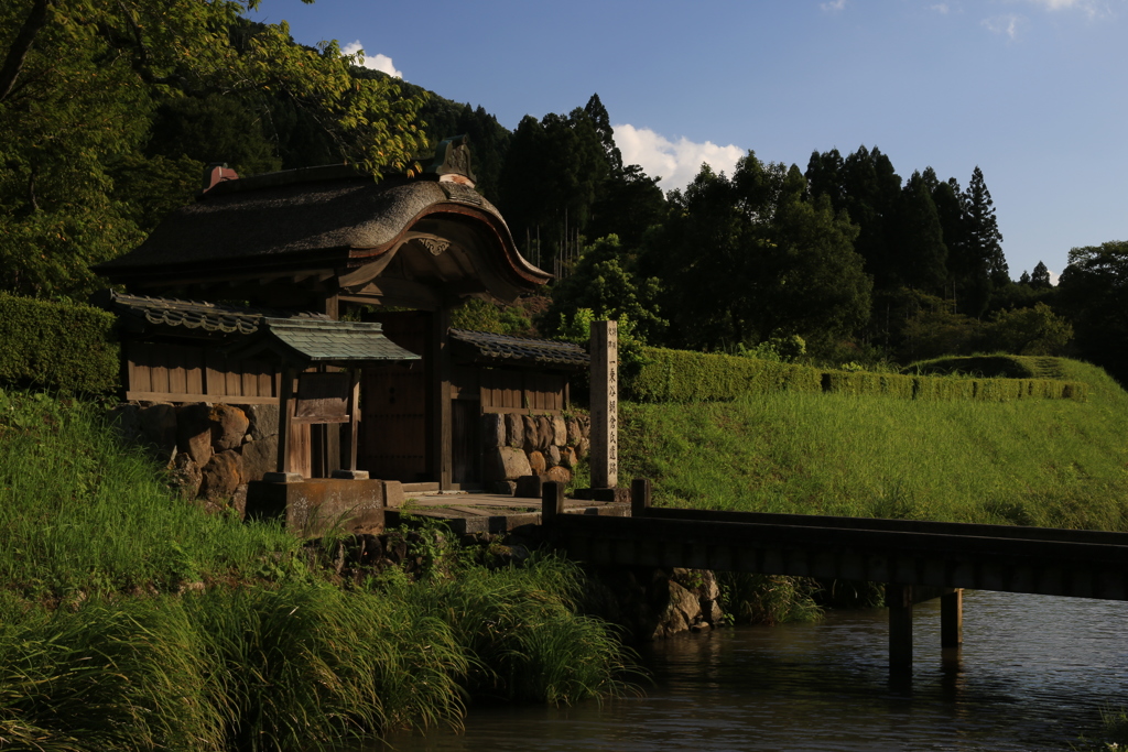 KODAI ROMAN vorⅡ
