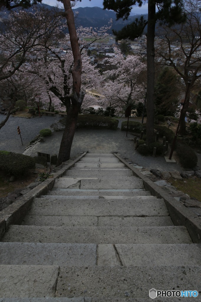丸岡城
