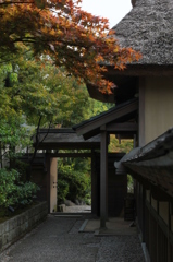 初秋 養浩館庭園にて