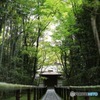 歓声 溜息 静寂