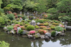 等持院 庭園より