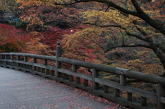 夕暮れ　こおろぎ橋Ⅱ