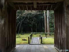 京都 紫野 高桐院