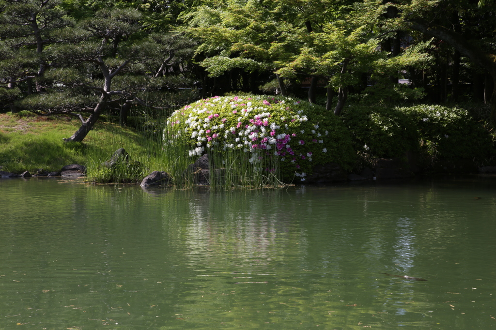 養浩館庭園Ⅲ