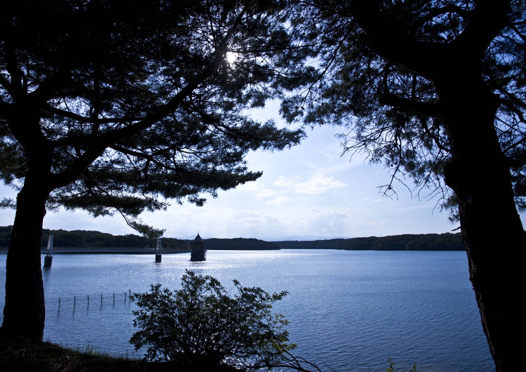 手の届きそうなファンタジー