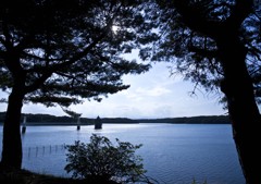 手の届きそうなファンタジー