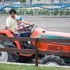 ジジと脇見運転