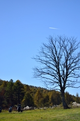 空中散歩