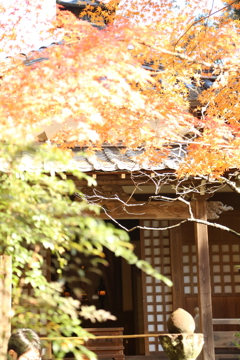 明月院