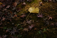 ひとつだけ