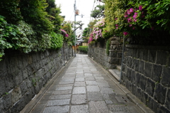 京都石塀小路
