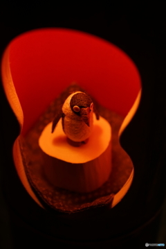 山鹿灯籠浪漫　百華百彩