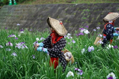 早乙女姿の花摘み娘