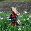 早乙女姿の花摘み娘