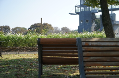 バラ園