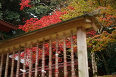 縁結びの赤い糸