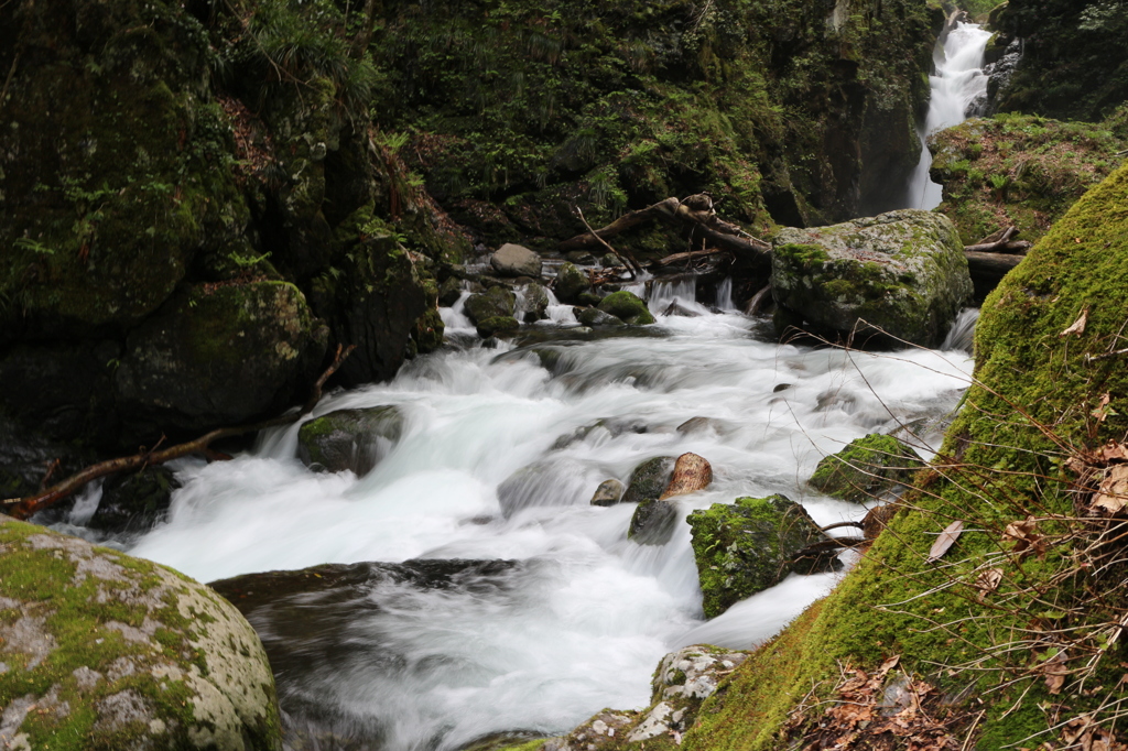山王滝からの川