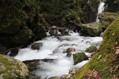 山王滝からの川