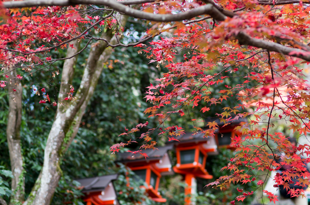 鞍馬寺