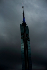 IMG_2048