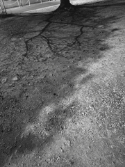 The shadow in the shadow