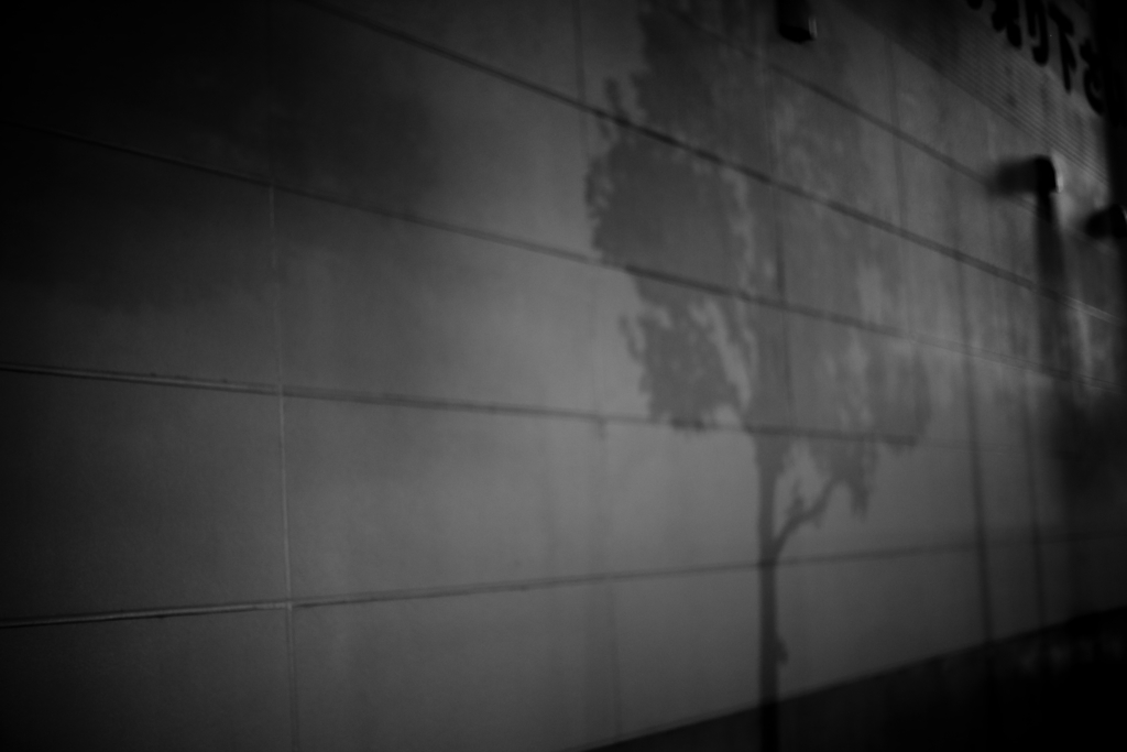 IMG_4473