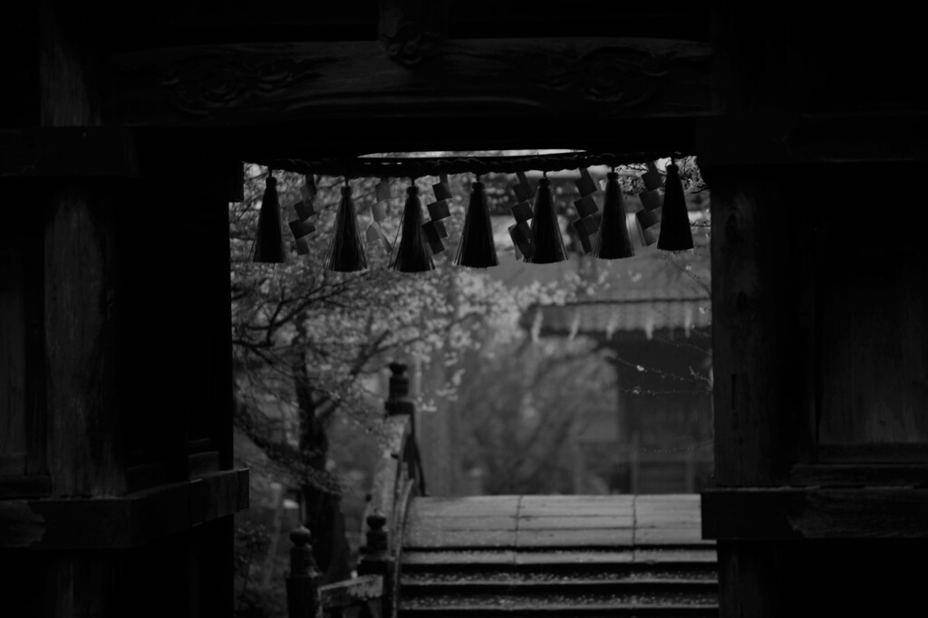 IMG_4672