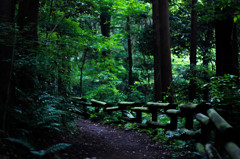 静かな道