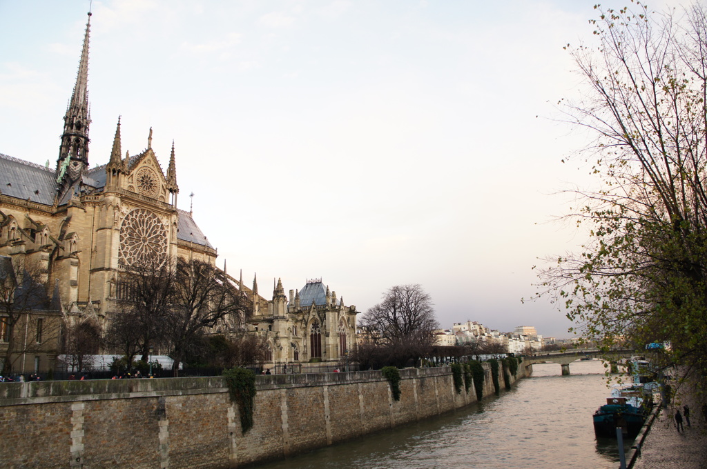 ノートルダムドパリとセーヌ川