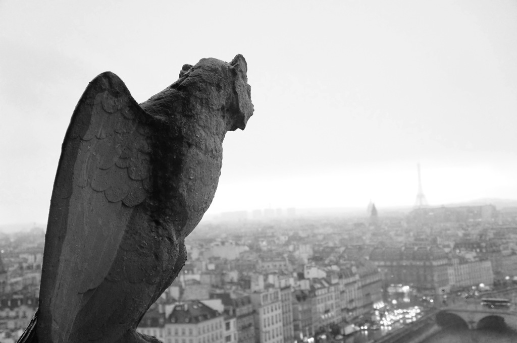 ノートルダムドパリのガーゴイル