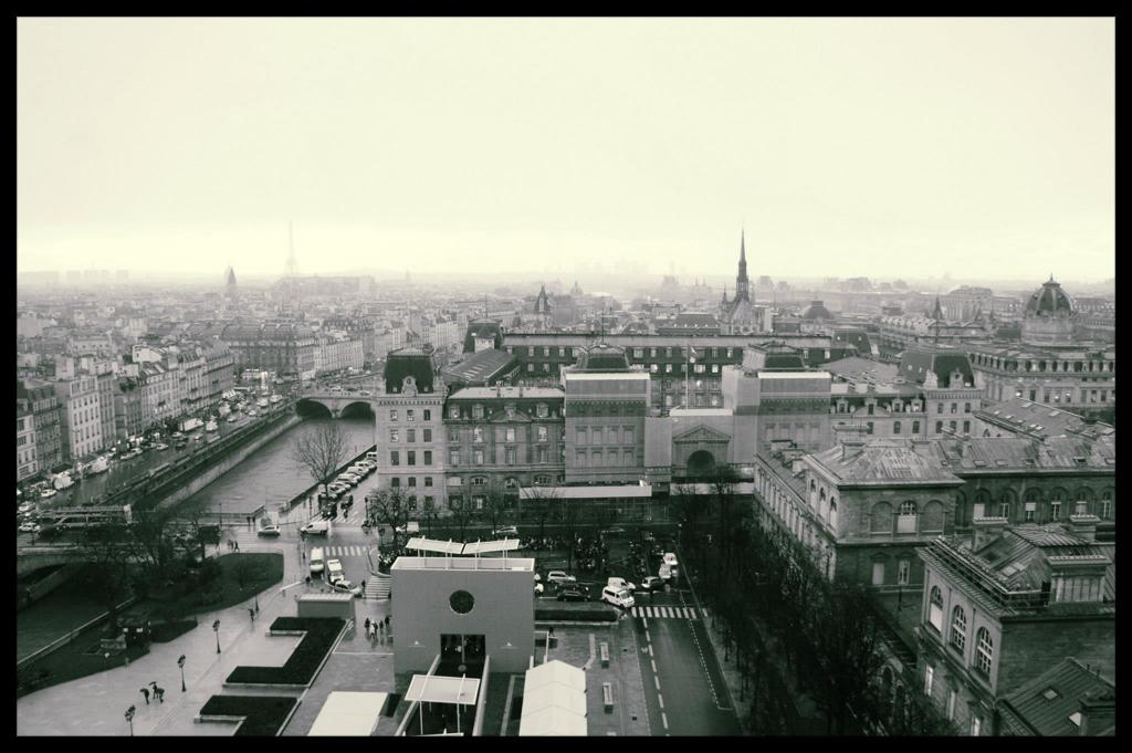 ノートルダムドパリからの眺め