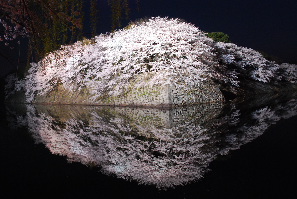夜桜〜②