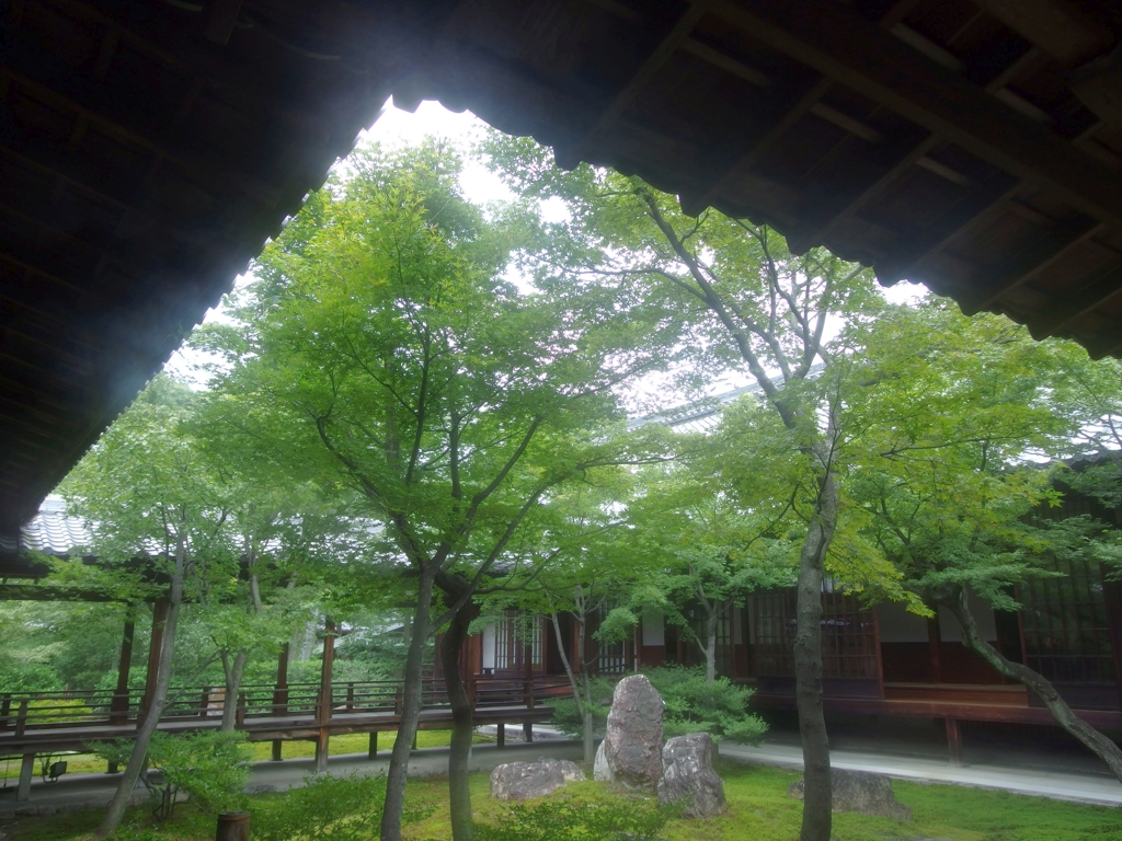 静かな空間　建仁寺