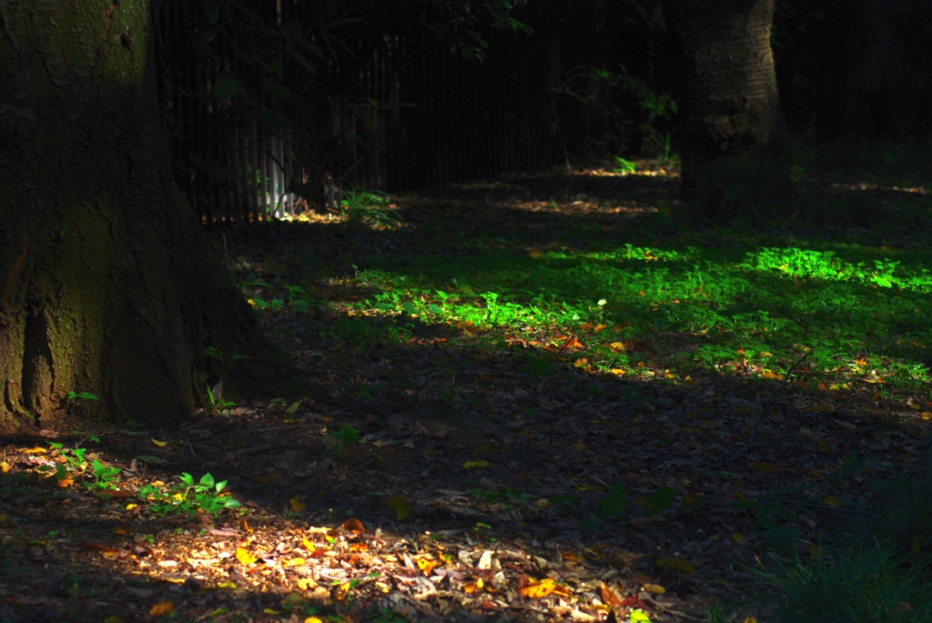 光と影の.....その時