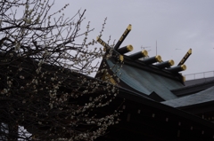湯島の白梅...06