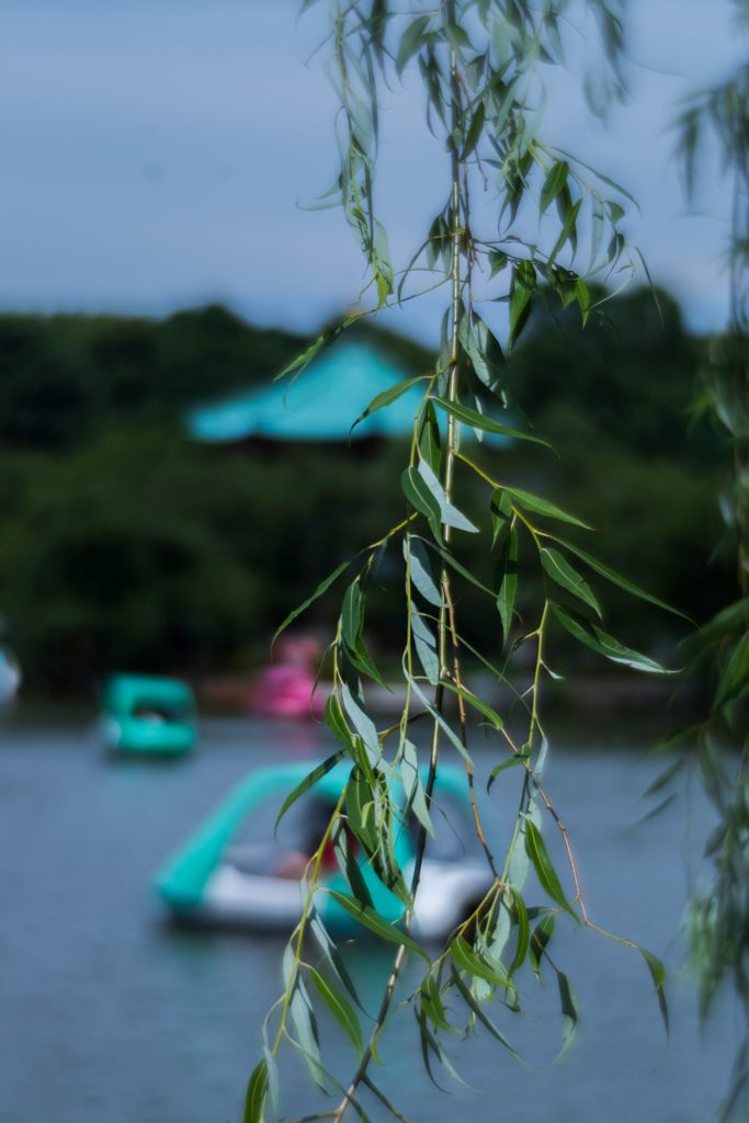 上野公園散策 4