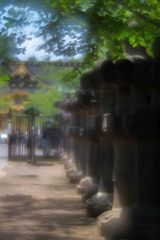 上野公園散策 1