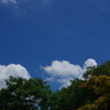 空と雲とそして木々...03