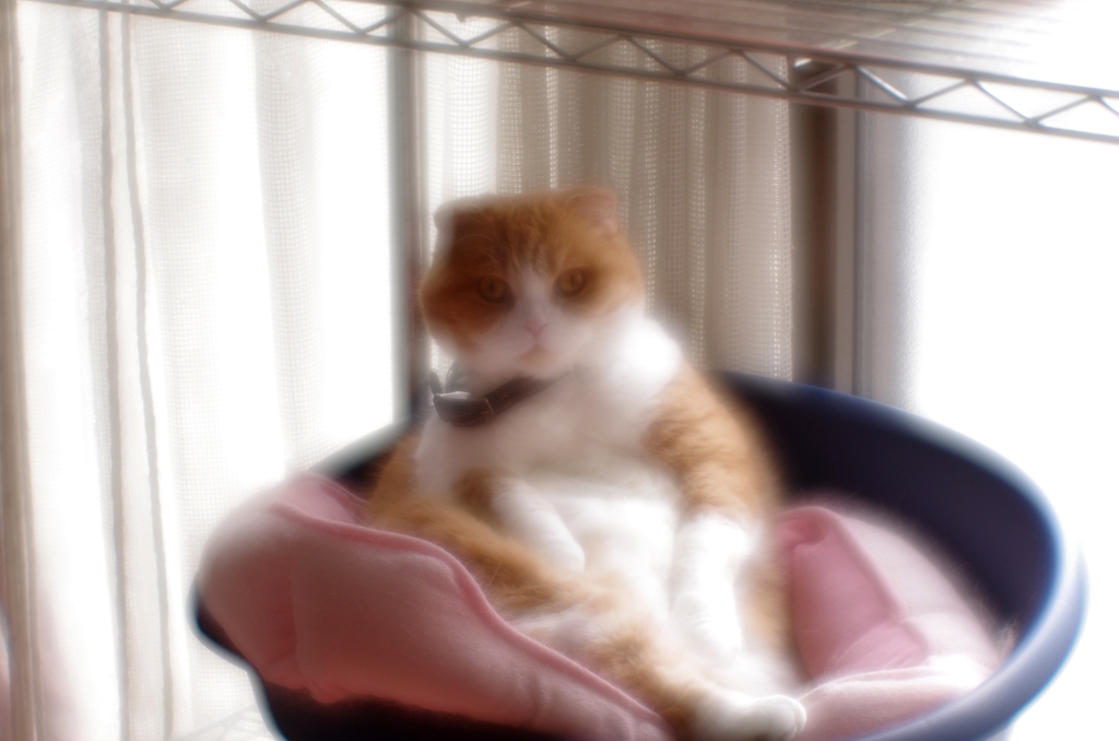 おっさん座り....(=^・^=)