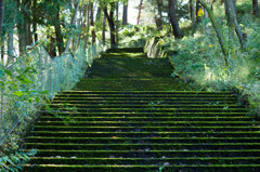 翠の階段