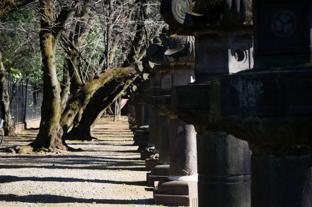 上野公園写ん歩...01