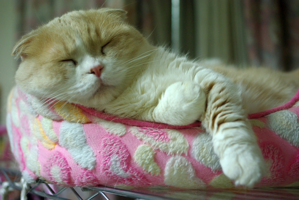 gooooood night...04