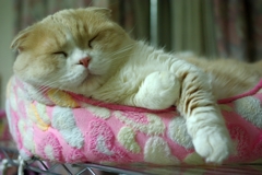 gooooood night...04
