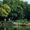 清澄庭園散策 6